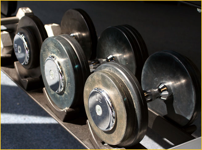 Freeweight DumbBells